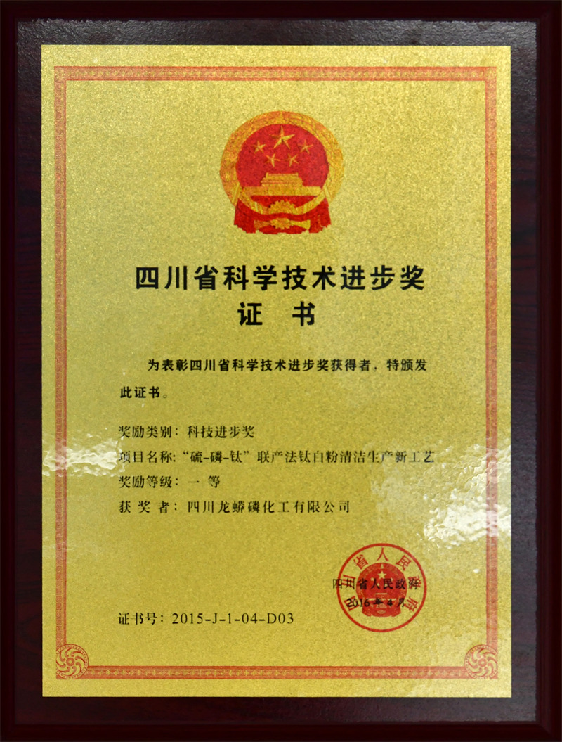 四川省科技進(jìn)步一等獎(jiǎng)