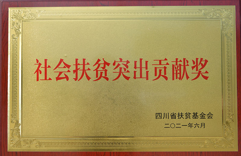 社會(huì)扶貧突出貢獻(xiàn)獎(jiǎng)
