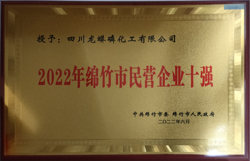 2022年民營(yíng)企業(yè)10強(qiáng)
