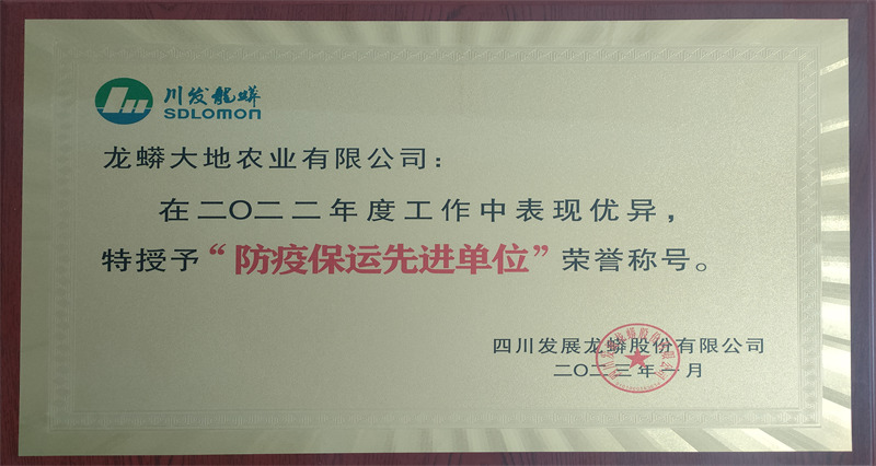 防疫保運(yùn)先進(jìn)單位